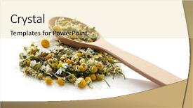  Presentation with chamomile - Amazing PPT theme having dried chamomile flowers and wooden backdrop and a blonde colored foreground