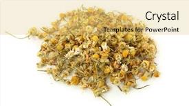  Presentation with chamomile - Presentation theme featuring dried chamomile tea isolated background and a yellow colored foreground