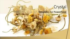  Presentation with chamomile - Audience pleasing theme consisting of dried chamomile tea isolated on white background backdrop and a blonde colored foreground