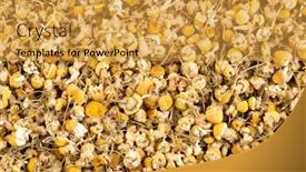  Presentation with herbal - Cool new slides with dried-chamomiles-healthy-herbal-tea backdrop and a gold colored foreground