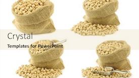  Presentation with new born chick - Slide deck enhanced with dried-chick-peas background and a blonde colored foreground