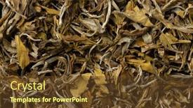  Presentation with tea leaves - Presentation theme with dried-chinese-snow-buds-tea background and a tawny brown colored foreground