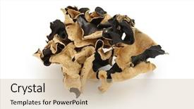  Presentation with traditional chinese medicine - Beautiful PPT theme featuring dried cloud ear fungus traditional backdrop and a soft green colored foreground