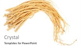  Presentation with chinese medicine - Theme with dried-codonopsis-root-used background and a white colored foreground