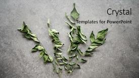  Presentation with curry leaves - Audience pleasing theme consisting of dried curry leaves indian cuisine backdrop and a  colored foreground