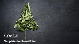  Presentation with curry leaves - Cool new PPT theme with dried curry leaves indian spices backdrop and a  colored foreground