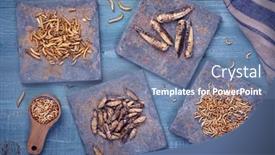  Presentation with wooden - PPT theme enhanced with dried-edible-insects-on-wooden background and a seafoam green colored foreground