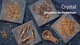  Presentation with wooden - PPT theme featuring dried-edible-insects-on-wooden background and a ocean colored foreground