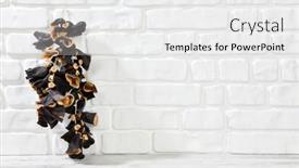  Presentation with eggplant - Audience pleasing PPT theme consisting of dried-eggplant-hanging-on-white backdrop and a white colored foreground