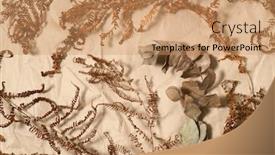  Presentation with eucalyptus - Colorful slide set enhanced with dried-fern-and-eucalyptus-branches backdrop and a coral colored foreground