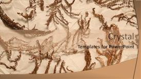  Presentation with fern - Presentation design consisting of dried-fern-branches-on-brown background and a coral colored foreground