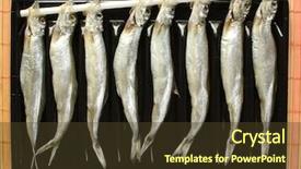  Presentation with hokkaido - Slide deck with dried fish from hokkaido japan background and a  colored foreground