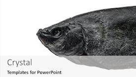  Presentation with fish - Slide set featuring dried-fish-on-a-white background and a white colored foreground