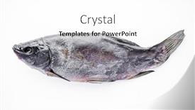  Presentation with fish - Theme consisting of dried-fish-on-a-white background and a white colored foreground