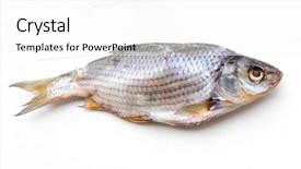  Presentation with food fish - Slide set enhanced with dried fish on a white background and a white colored foreground