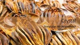  Presentation with fish - Colorful presentation theme enhanced with dried fish backdrop and a  colored foreground