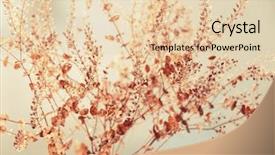  Presentation with pattern - Slides enhanced with dried flowers background background and a lemonade colored foreground