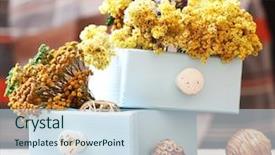  Presentation with chest - Cool new theme with dried flowers in chest backdrop and a sky blue colored foreground