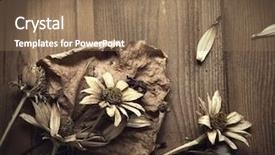  Presentation with pressed and dried flowers - Colorful theme enhanced with dried flowers on a wooden backdrop and a coral colored foreground