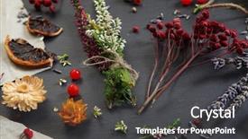  Presentation with pressed and dried flowers - PPT theme featuring dried flowers on black background background and a  colored foreground