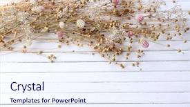  Presentation with dry - Audience pleasing slides consisting of dried flowers on color wooden backdrop and a sky blue colored foreground