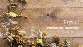  Presentation with rustic - Audience pleasing slides consisting of dried flowers on rustic wooden backdrop and a coral colored foreground
