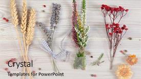  Presentation with flowers - Audience pleasing presentation design consisting of dried flowers on wooden background backdrop and a lemonade colored foreground