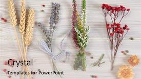  Presentation with flowers - Beautiful presentation featuring dried flowers on wooden background backdrop and a  colored foreground