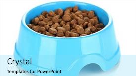  Presentation with dry - Presentation theme having dried food - dry dog treats in bowl background and a arctic colored foreground