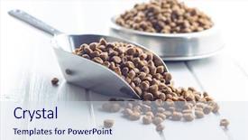  Presentation with dogs cats - Slide deck featuring dried food for dogs background and a sky blue colored foreground