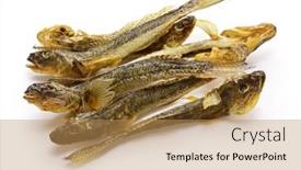  Presentation with dried food - PPT layouts featuring dried-goby-japanese-food-isolated background and a coral colored foreground