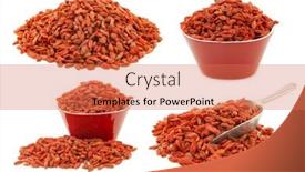  Presentation with goji - Beautiful presentation theme featuring dried-goji-berries-lycium-barbarum backdrop and a coral colored foreground