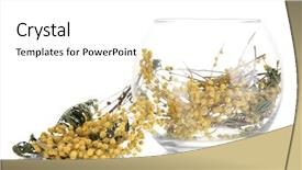  Presentation with herb - Audience pleasing presentation consisting of dried herb in glass container isolated on white backdrop and a white colored foreground