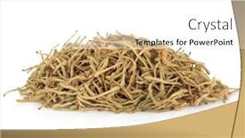  Presentation with chinese medicine - PPT theme enhanced with dried honeysuckle flower petals background and a white colored foreground