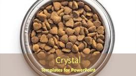  Presentation with pet food - Colorful PPT layouts enhanced with dried-kibble-pet-food backdrop and a tawny brown colored foreground