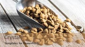  Presentation with pet food - Slide deck consisting of dried-kibble-pet-food background and a coral colored foreground