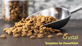 Presentation with pet food - Slide deck featuring dried-kibble-pet-food background and a tawny brown colored foreground