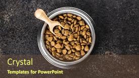  Presentation with pet food - Slides with dried-kibble-pet-food background and a tawny brown colored foreground