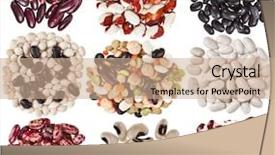  Presentation with kidney bean - Audience pleasing PPT layouts consisting of dried kidney legumes haricot bean backdrop and a coral colored foreground
