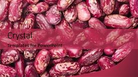  Presentation with kidney - Cool new presentation theme with speckles - dried kidney red speckled beans backdrop and a red colored foreground