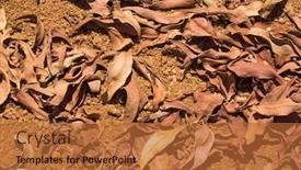  Presentation with leaves - PPT layouts having dried-leaves-on-the-ground background and a red colored foreground