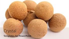  Presentation with phytotherapie set healing herbs dried - PPT theme featuring dried-longan background and a coral colored foreground