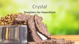  Presentation with dogs - Presentation featuring dried-meat-for-dogs-chewy background and a  colored foreground