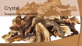  Presentation with mushrooms - Colorful slide deck enhanced with dry forest - dried mushrooms isolated backdrop and a coral colored foreground