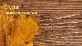  Presentation with oak - Theme with dried-oak-leaves background and a tawny brown colored foreground