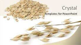  Presentation with oat - Colorful slides enhanced with dried oat ears and seeds on white background backdrop and a lemonade colored foreground