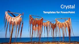  Presentation with spain - Colorful slide set enhanced with dried octopus at mediterranean spain backdrop and a gray colored foreground