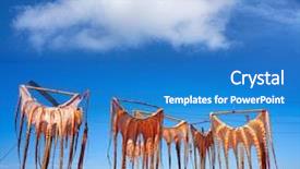  Presentation with octopus - Slide set featuring dried octopus at mediterranean spain background and a teal colored foreground