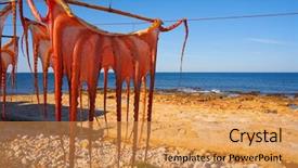  Presentation with medical spa massage outdoor balinese - Amazing slide set having dried octopus at mediterranean spain backdrop and a yellow colored foreground