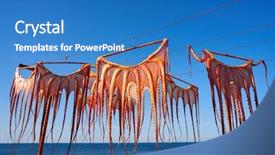  Presentation with medical spa massage outdoor balinese - Presentation design consisting of dried octopus at mediterranean spain background and a teal colored foreground